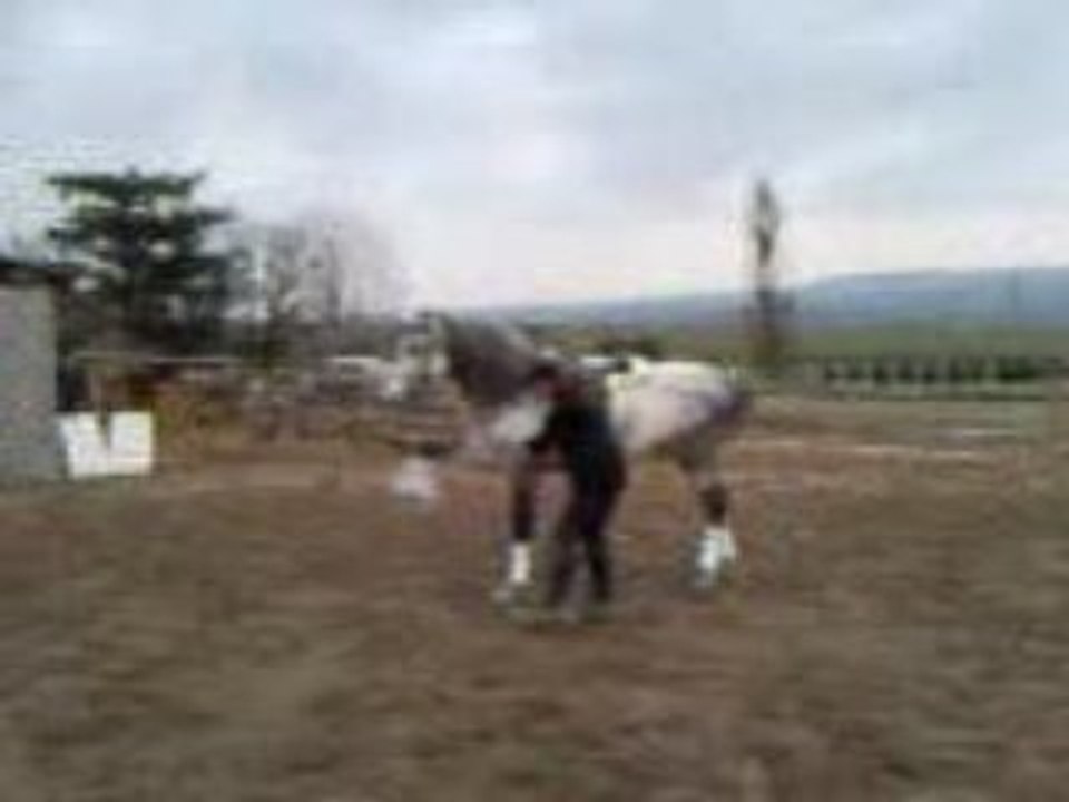 Video de playboy et moi2