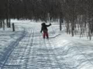 Na bezkach  = en ski de fond