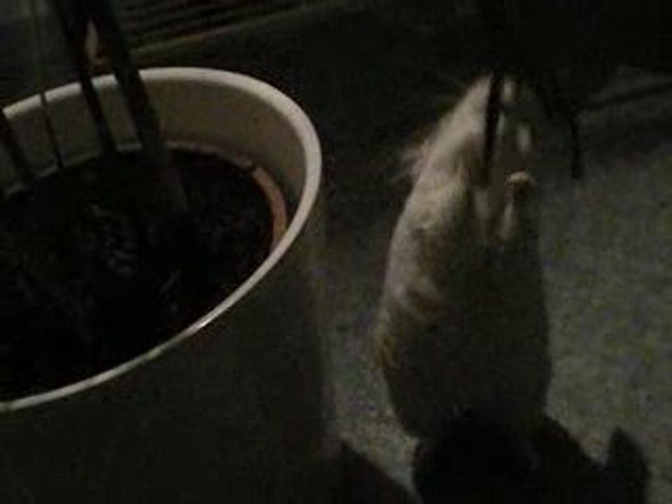 DSCN0491