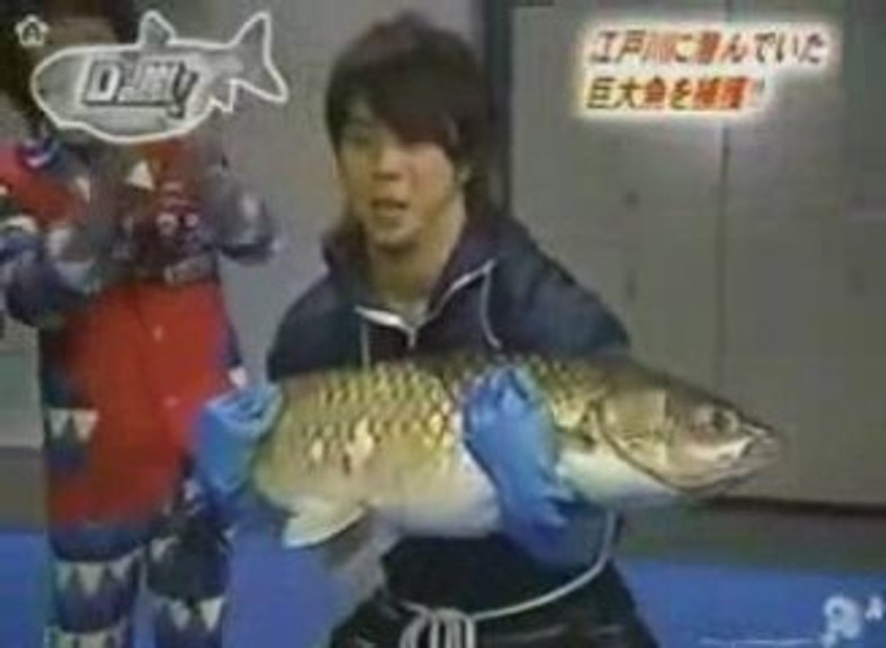 Arashi = 5 silly boys