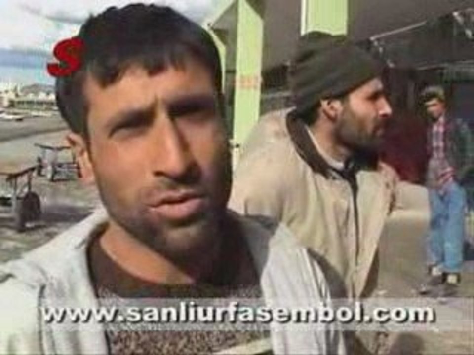 şutim