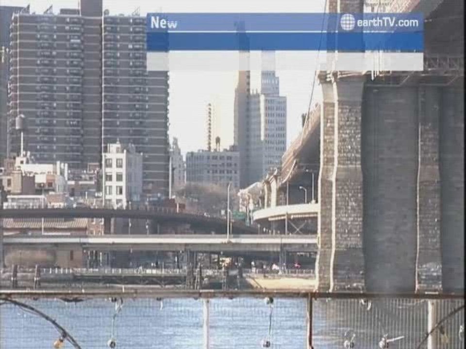 Seattle - USA, Palma de Mallorca - Spain, Budapest - Hungary, Johannesburg - South Africa, Auckland - New Zealand, New York - USA, Antibes - Juan-les-Pins - France