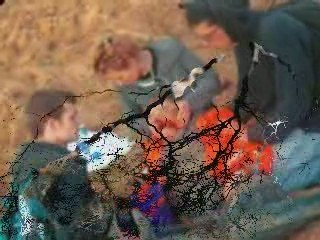 Yaşından Büyük Öldün Rachel Corrie.birlikteforum