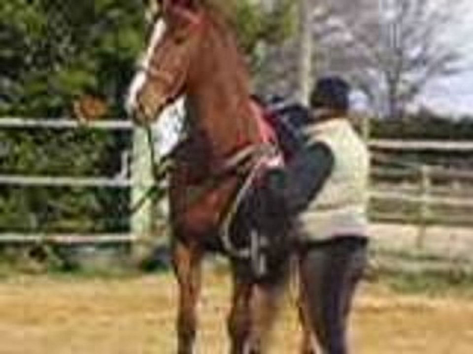 Foufou(2)