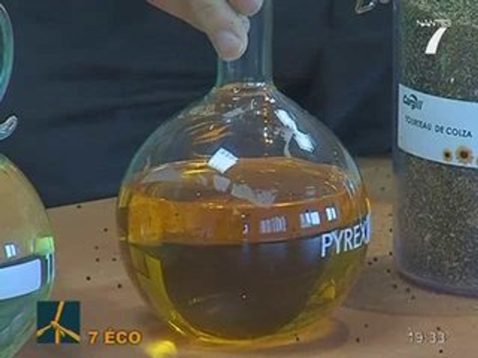 Huile de colza, comment ça marche ?