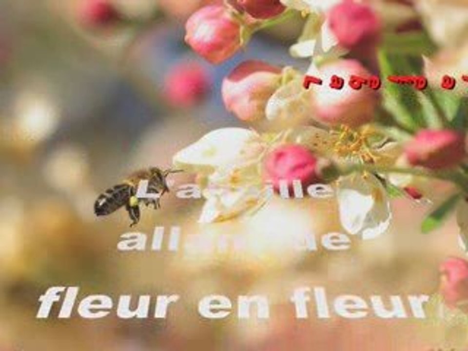 Les arbres sont nos amis