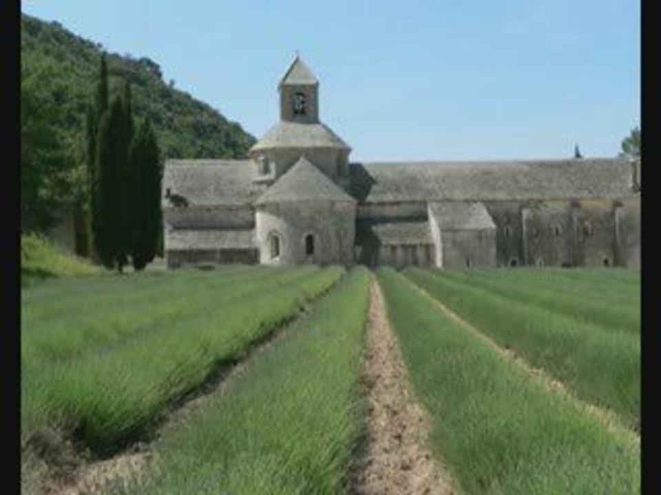Abbaye de Senanque - Vaucluse - France