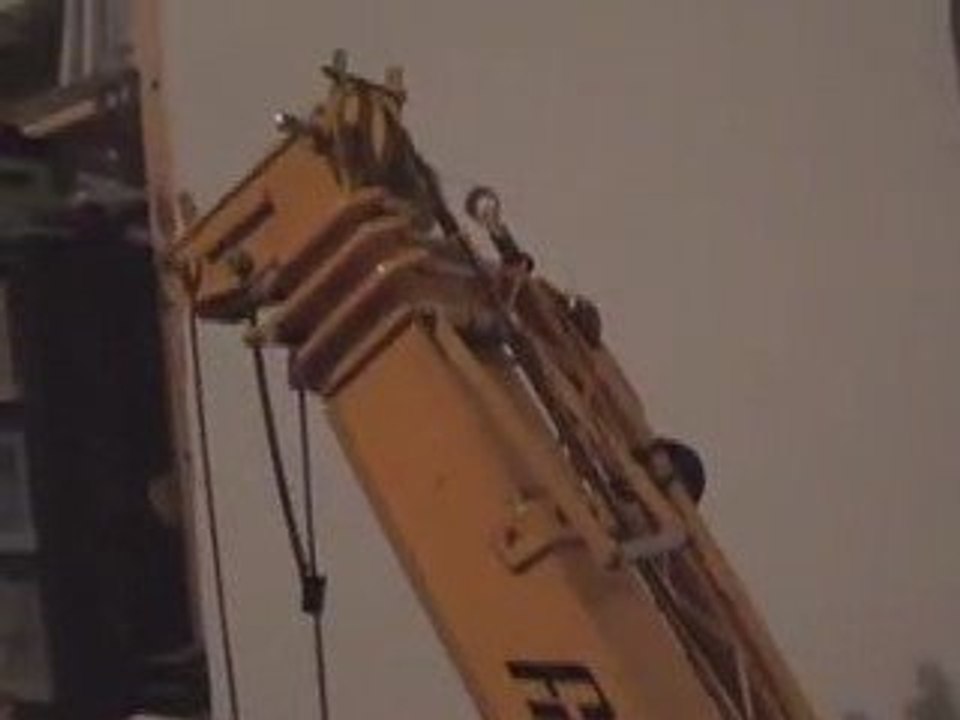 grue radio-commandée LTM1030