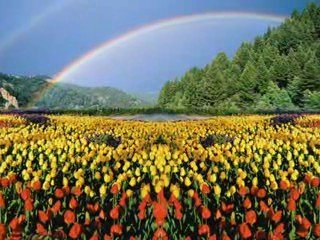 Muhsin Yazıcıoğlu (Klip)