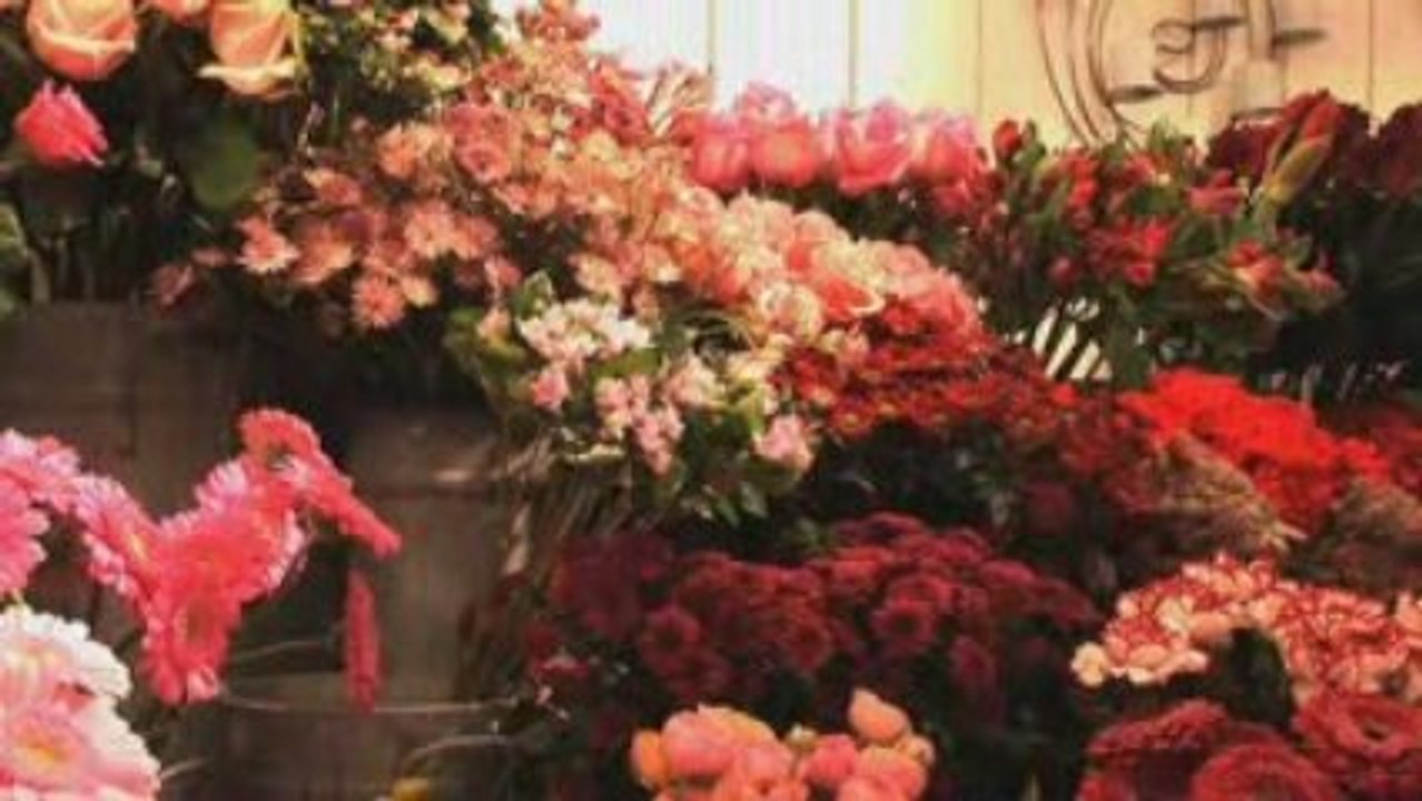 Pensées d’Héloïse fleuriste  HAMME MILLE