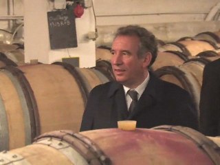 Déplacement François Bayrou Strasbourg 23-03-09