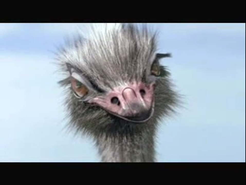 Ostrich