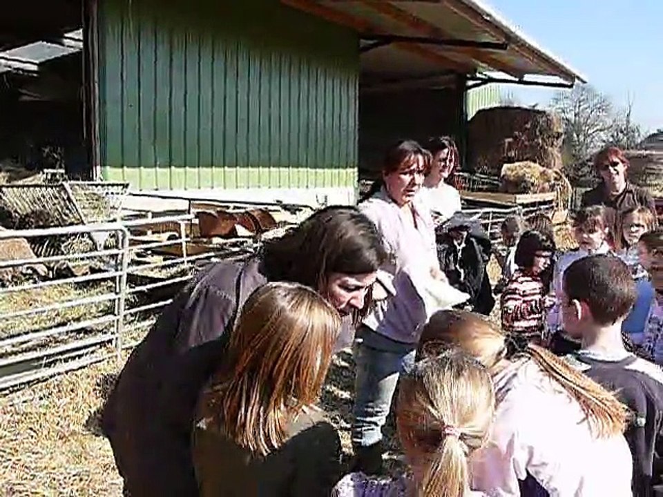 Pisseleu : les petits reporters et les brebis