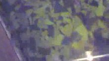 Видео0011