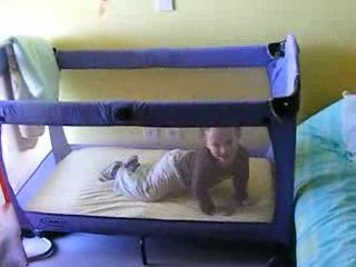 DSCF9534