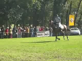 Film Lion d'Angers 1