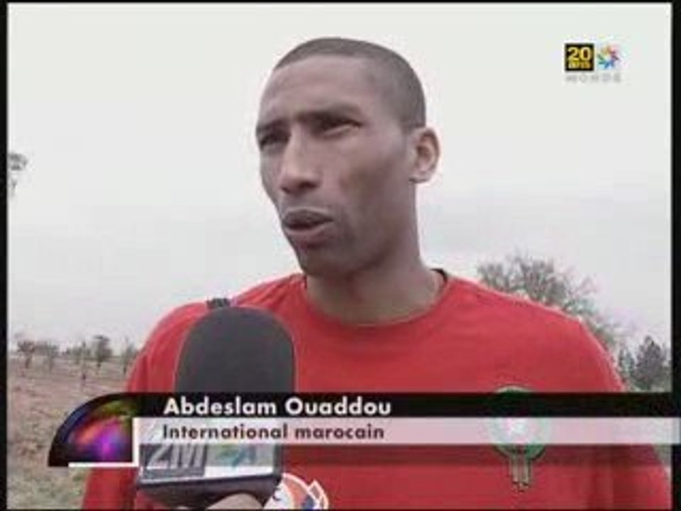 Les lions à l'entrainement