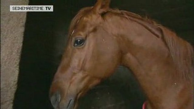 Jean-Louis Labigne, entraîneur-driver dans le Pays de Bray