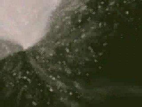 Les Simpson Musique : Ned flanders