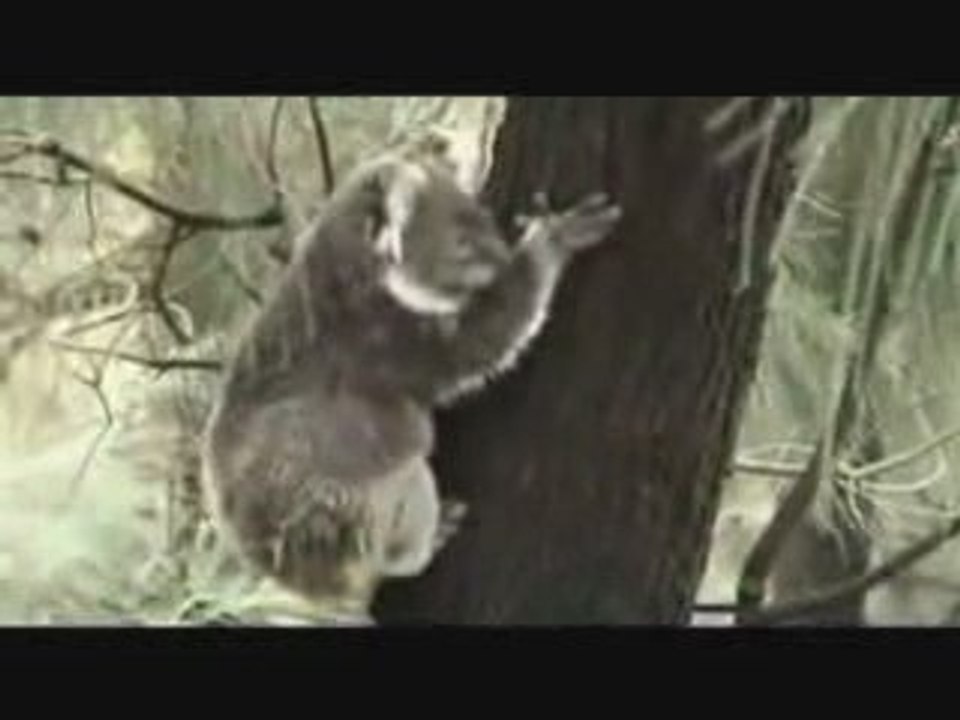 AUSTRALIA 2 - JP