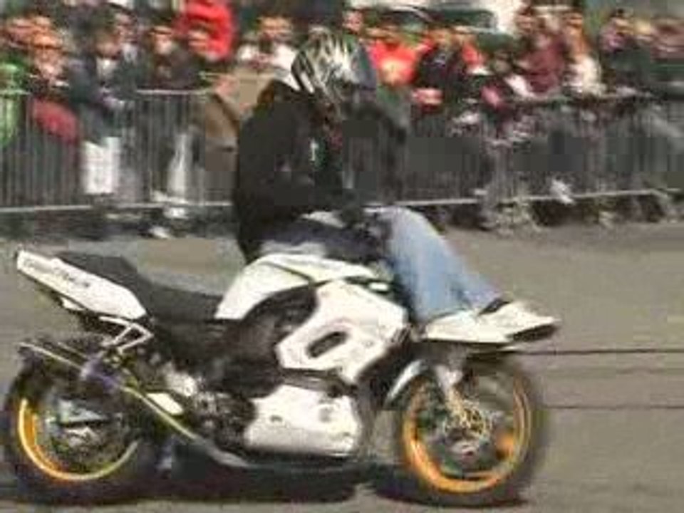 Puces de niort 21 mars 2009 II