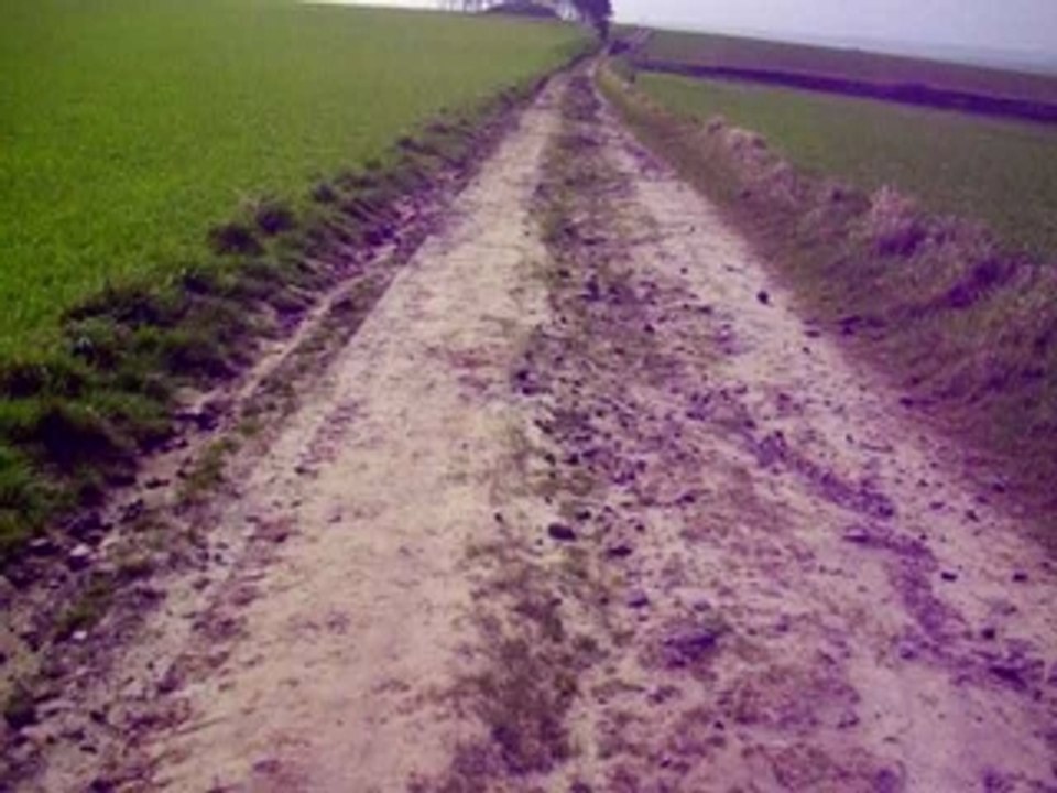 Sortie dans les chemins en quad