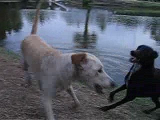 Yuka y Semilla en el Parque Saavedra - Ep.02