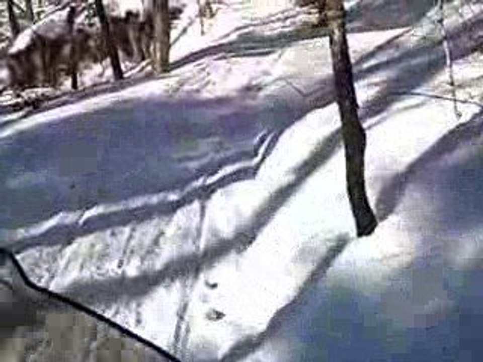 randonée en motoneige au canada