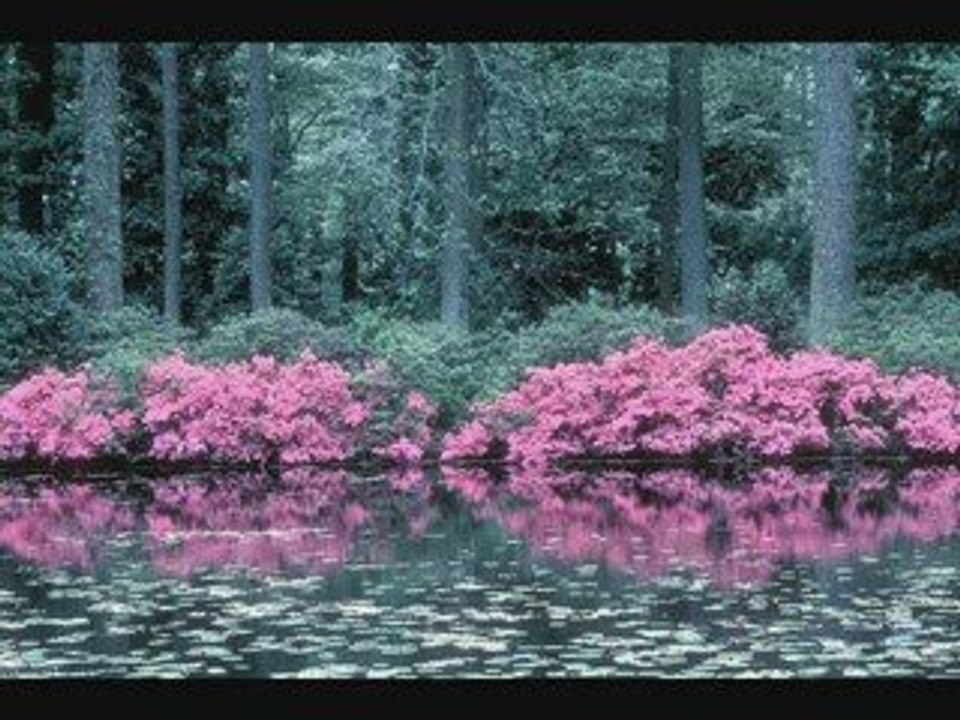 Kazancı bedih mecnun isen eydil