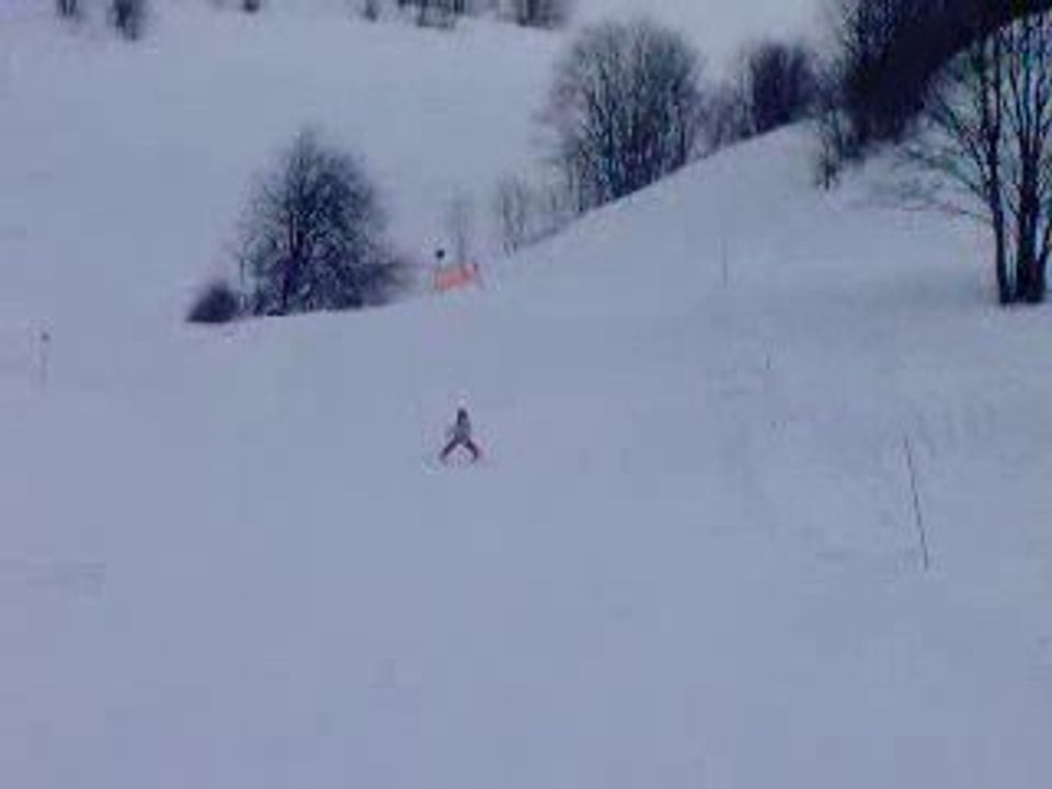 ski9