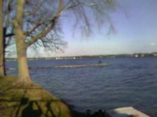 Midwest Lake Water Quality Overview