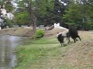 Yuka y Semilla en el Parque Saavedra - Ep.03