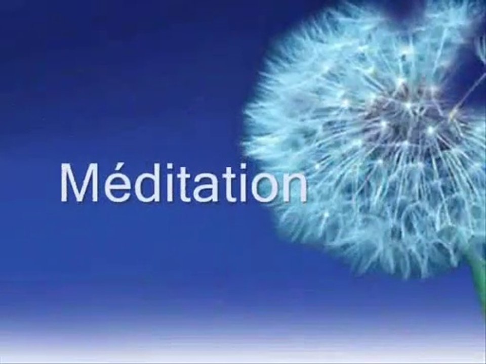 MEDITATION DU PISSENLIT