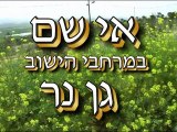 pizza  Smadar - חוקר פרטי בודק פיצה מקמח מלא ב