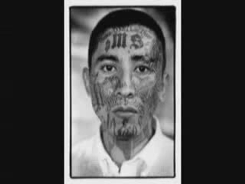 Mara Salvatrucha (MS13)