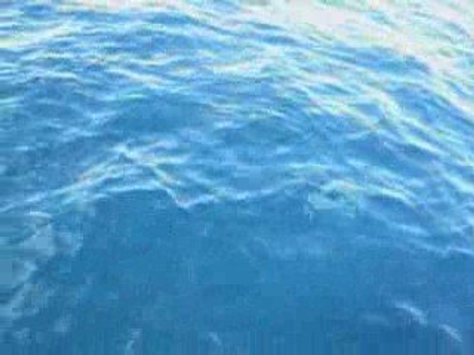 Jigging et thon rouge