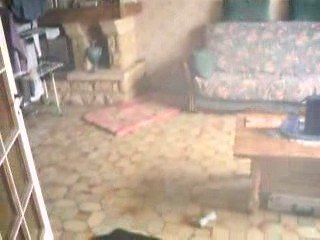 Arkos après la promenade