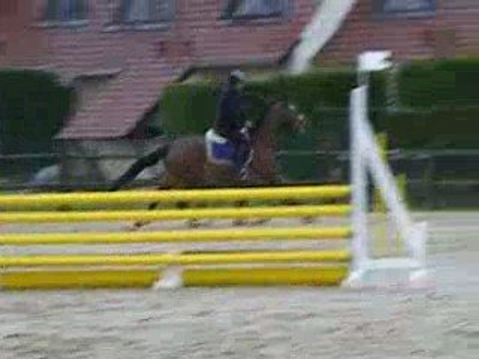 Jeunes chevaux Roméo Touquet