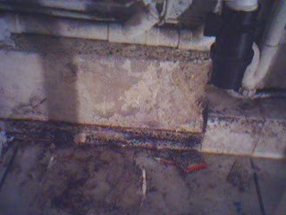 Les marchands de sommeil qui se croient au dessus des lois