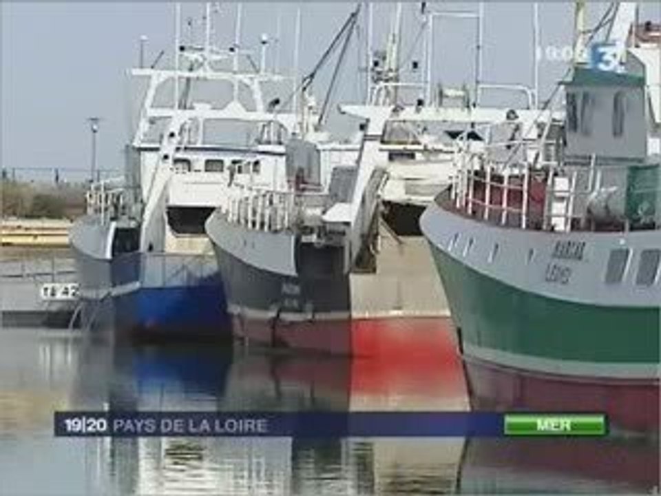 FR3 25/03/09  Sylvie Goulard à Nantes, élections Européennes
