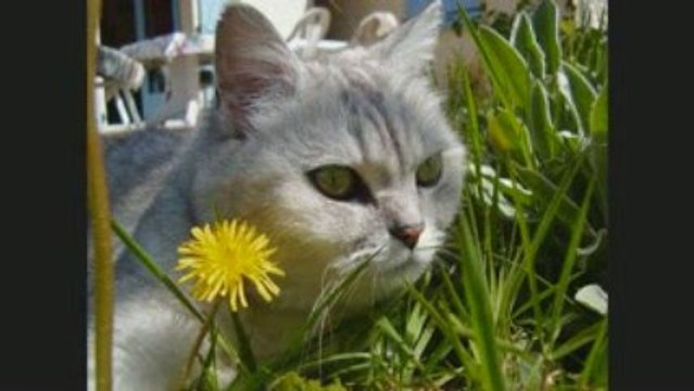 Mes photos les plus belles