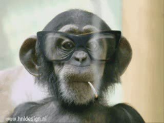 Krisko Tufo - Shtoto E Maimuna