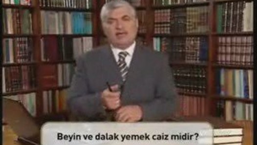Beyin ve dalak yenir mi Dailymotion Video