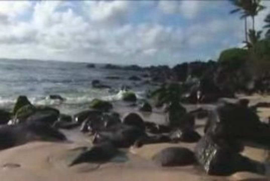 North Shore Hawaii High Speed