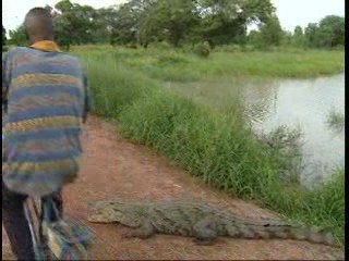 La Mare aux crocodiles
