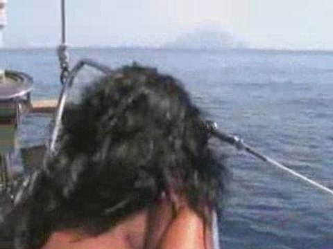 Dolphin Watching alle isole Eolie - Avvistamento delfini