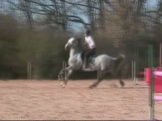 Catastrophe Saut: What You Need to Know