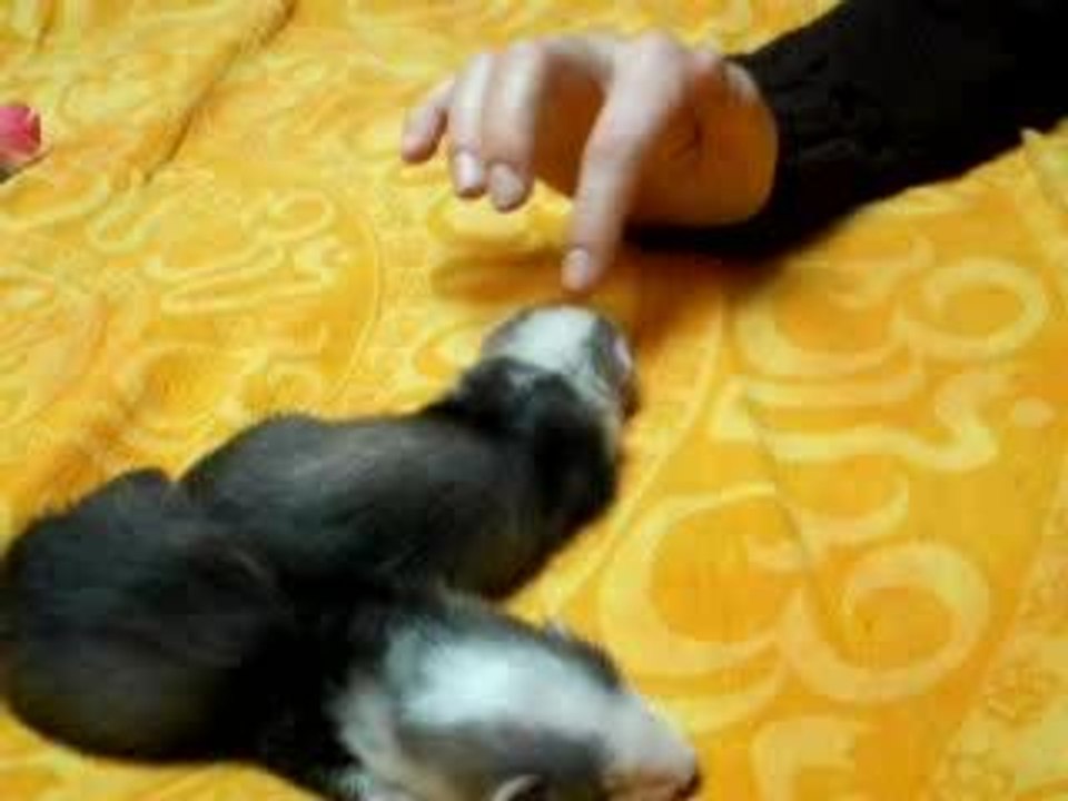 Grosse fatigue