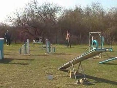 Boogie Open Agility Millery 22/03/2009