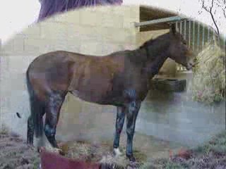 Super journée avec maelle